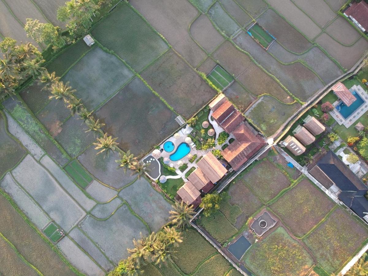 Tetebatu Flush Harmony Otel Dış mekan fotoğraf